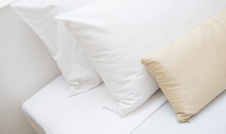 枕头用什么材质的好 什么样枕头好用?选择什么样的材质?