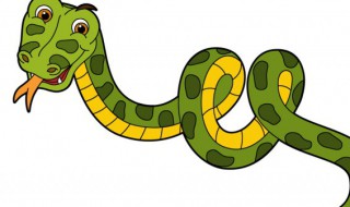 眼镜蛇是国家保护动物吗（一般的眼镜蛇是国家保护动物吗）