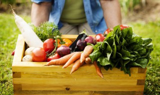 青菜储存保鲜方法 新鲜青菜的保存方法