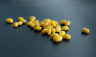 家庭怎样储存黄豆 家庭如何保存黄豆