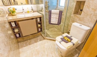 卫生间有骚味怎么去除 厕所有骚味,怎么处理,才真的有效