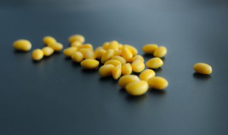 在家怎么长黄豆芽 自家长黄豆芽方法