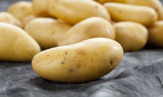 旱地如何种好土豆 平地种土豆不行吗