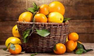 如何种植好盆栽橘子 盆栽橘子的养殖方法