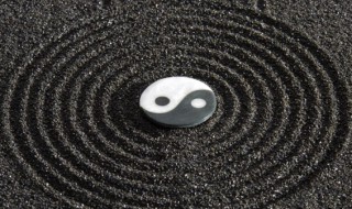 家里放柳枝是什么意思 屋里放柳枝是什么意思