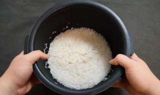小电锅怎么蒸米饭 小电锅怎么蒸米饭视频