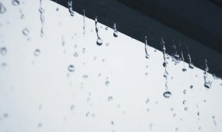 梅雨季节家里如何防潮防霉 梅雨季家里怎么防霉