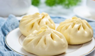 扬州灌汤包的皮怎么做（扬州灌汤包的制作视频）