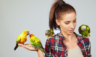 鸟蛋孵化出来需要几天? 鸟蛋一般几天孵出来