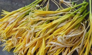 黄花菜心可以吃吗 黄花菜心能吃吗