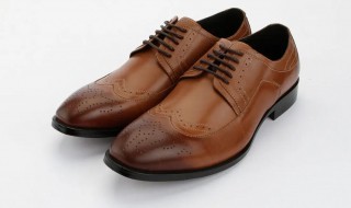 酱色皮鞋的保存方法（皮鞋怎么保存方法）