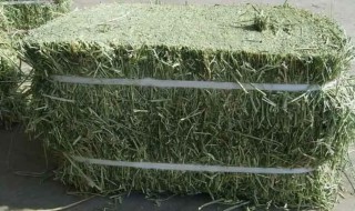 青干草保存方法 青草保鲜方法