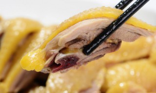 补药蒸鸡的做法 补药蒸鸡的做法窍门