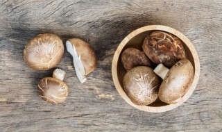 新鲜香菇保存方法 鲜香菇如何保存