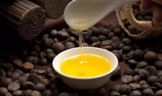 茶油的保存方法（茶树油如何保存）