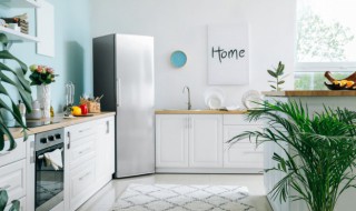 面包机放冰箱上面可以吗 面包放冰箱里可以吗