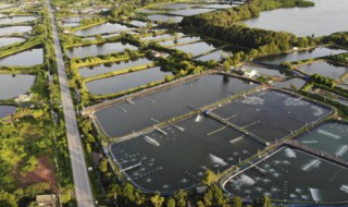 养殖业需要注意哪些事项 想做养殖业要具备什么条件