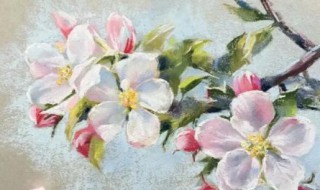 色粉画保存方法（色粉画用定画液保存可以吗）