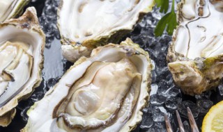 半开生蚝保存方法（生蚝开了怎么保鲜）