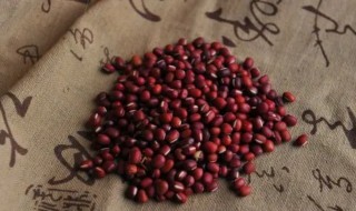 赤豆养殖方法和注意事项 赤豆怎么养