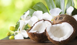 椰子壳永久保存方法 椰子壳如何保存
