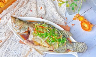 青蒸桂鱼的做法 清蒸桂鱼的做法