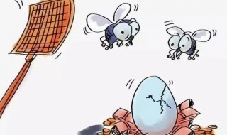 家里有小蝇子怎么办 屋子里有小蝇子怎么办