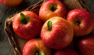 延安苹果树种植方法 延安各县区苹果种植分布图
