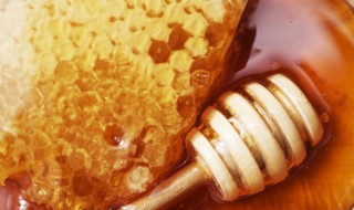 澳洲蜂胶保存方法（澳洲蜂胶食用方法）