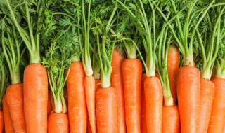 胡萝卜最好的保存方法 胡萝卜保存方法有哪些