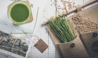 春小麦什么时候播种（东北春小麦什么时候播种）