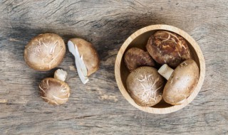香菇的栽培方法 香菇的栽培方法有哪两种