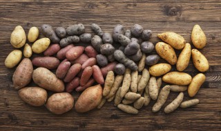 人工栽培的土豆怎么种植（土豆的栽培种植技术）