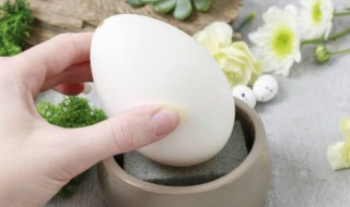 鹅蛋煮多长时间 鹅蛋煮多长时间是溏心蛋