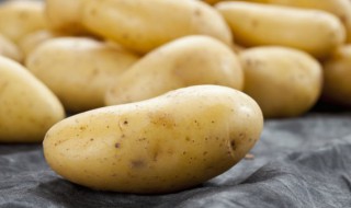 什么时候种土豆最好 啥时候种土豆最好