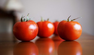 什么时候种西红柿 什么时候种西红柿秧合适