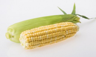 煮玉米棒需要多长时间（煮玉米棒大约需要多长时间）