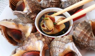 海螺要煮多长时间能熟 海螺需要煮多长时间才熟
