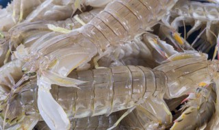 皮皮虾怎么煮多长时间 皮皮虾怎么煮多长时间最好