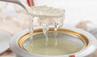 椰奶燕窝的做法 椰奶燕窝的做法与功效