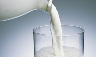 冰糖牛奶炖燕窝的做法 冰糖牛奶炖燕窝的做法与功效