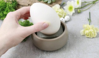 大鹅蛋煮多长时间能熟 大鹅蛋煮多长时间能熟?
