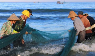 海产养殖公司安全生产注意事项（海产养殖公司安全生产注意事项及措施）