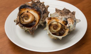 海螺煮多长时间能熟 海螺煮多长时间能熟的做法