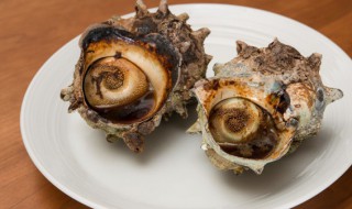 煮海螺需要多长时间 煮海螺需要多长时间能熟