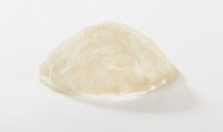 焖烧杯焖燕窝的做法（焖烧杯焖燕窝的做法窍门）
