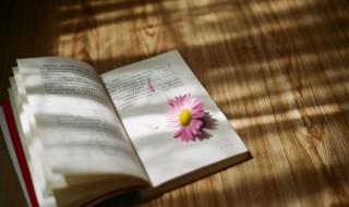 卖油翁说明了什么道理（卖油翁说明了什么道理对我们有什么启发）