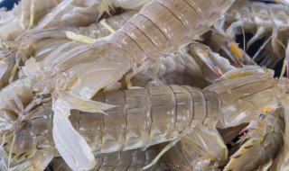 皮皮虾需要煮多长时间 皮皮虾需要煮多长时间熟