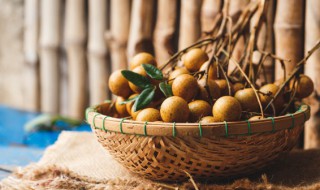 桂圆肉怎么晒干（桂圆肉晒不干）