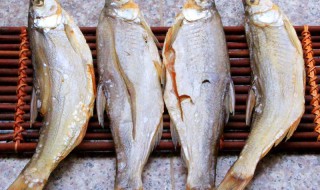 晒干咸鱼怎么保存 晒干的咸鱼能放多久